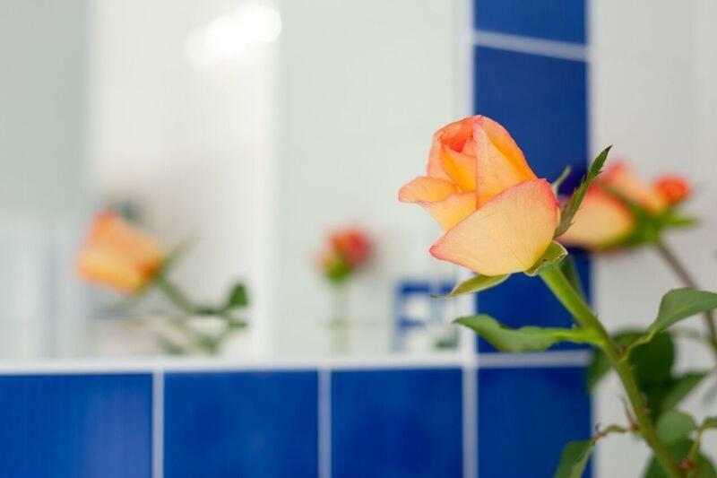 Casa Amore S Lucia อามาลฟี ภายนอก รูปภาพ